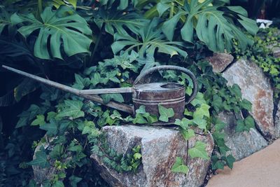 High angle view of potted plants in yard