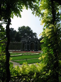 Trees and plants in garden