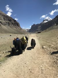 View on the way to kailash 