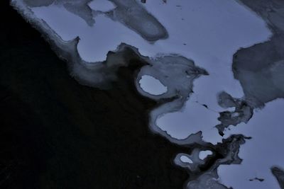 Close-up of frozen tree against sky at night
