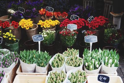 High angle view of multi colored flowers for sale in shop