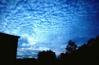 Low angle view of silhouette trees against sky