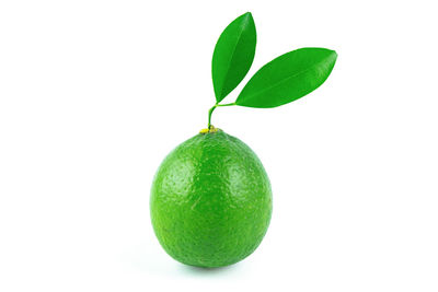 Close-up of green fruit against white background