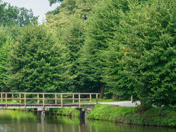 Scenic view of lake by trees