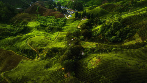 High angle view of hills