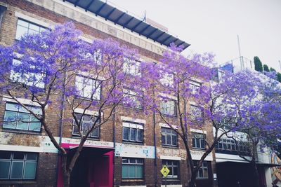 Low angle view of building