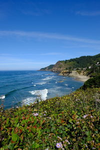 Scenic view of the pacific ocean against blue sky
