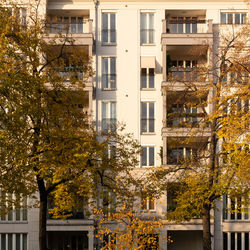 Low angle view of tree against building