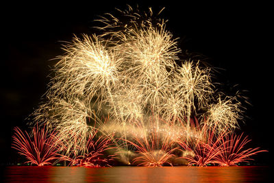 Firework celebration from the sea shore. colorful fireworks and the night sky background.
