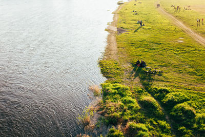 High angle view of man on river amidst field