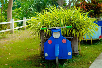 Built structure on field in park