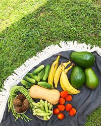 High angle view of vegetables in basket