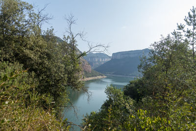 Scenic view of river amidst trees against sky