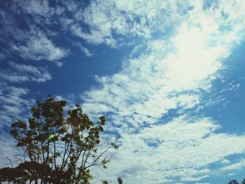 Low angle view of trees against cloudy sky