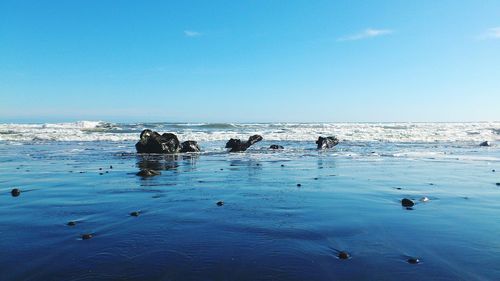 Scenic view of sea against blue sky