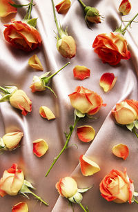 Flowers composition. frame made of red roses and leaves on silk background. 