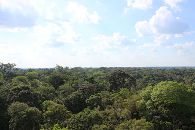 Scenic view of forest against sky