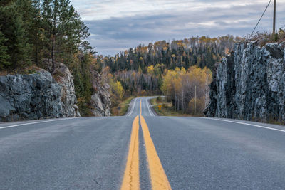 Surface level of empty country road along trees