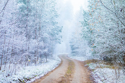 Road amidst trees on field during winter against sky