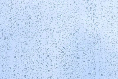 Flock of birds flying against blue sky seen through wet glass window