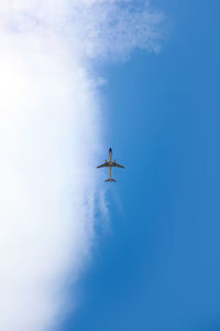 Directly below shot of airplane flying in blue sky