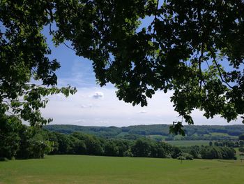 Scenic view of green landscape and trees against sky