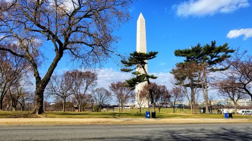 Trees on field in park against blue sky