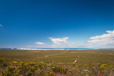 Scenic view of field against blue sky