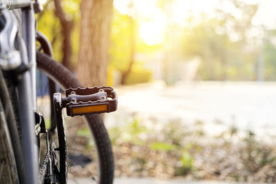 Dim image of bicycle and its pedal. the pedal against the park backdrop has trees and 
