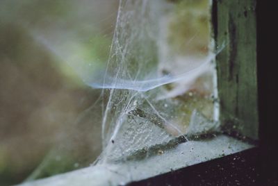 Close-up of spider web on glass window