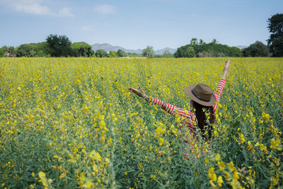 Rear view of woman standing amid flowering plants against sky