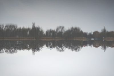 Reflection of trees in calm lake