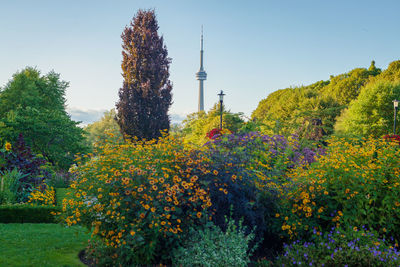 Scenic view of flowering plants against sky