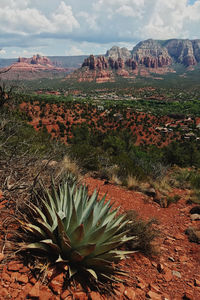 Scenic view of land against sky