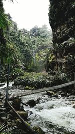 View of river passing through forest