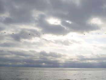 Birds flying over sea against sky