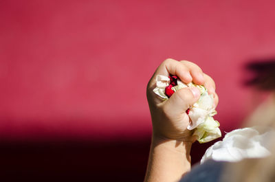 Close-up of a hand holding petals