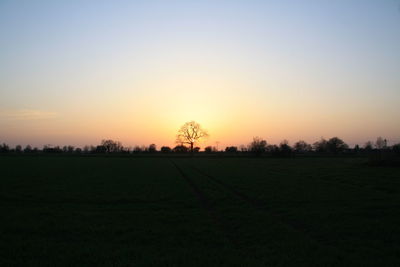 Scenic view of field against sky during sunset