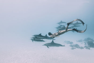 Women snorkeling with fishes underwater