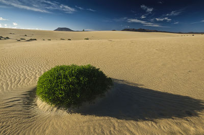 Scenic view of sand dunes at beach against sky