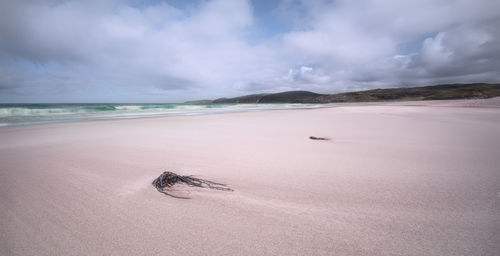 Sandwood bay near cape wrath is a remote and unspoilt beach in sutherland, northwest scotland.