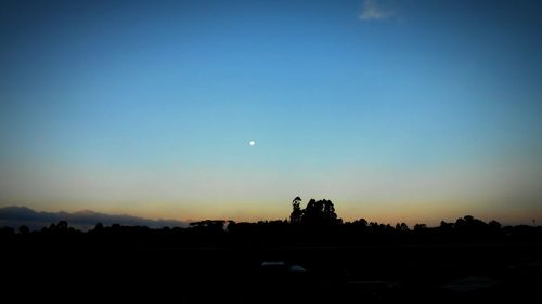 Silhouette trees against clear blue sky at sunset