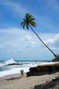 Scenic view of palm trees on beach against sky