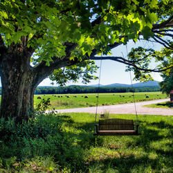 Empty bench on field by trees against sky