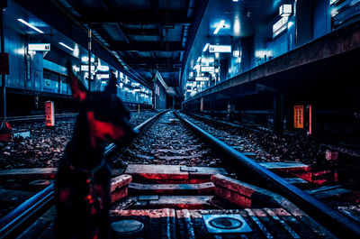 Dog sitting on railroad tracks at illuminated station