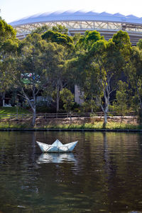 Bird flying over lake