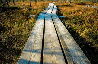 High angle view of boardwalk amidst plants