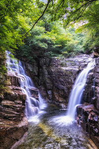 View of waterfall in forest