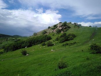 Scenic view of green landscape against sky