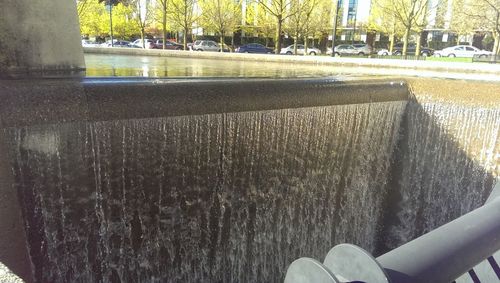 Building with reflection of trees in water